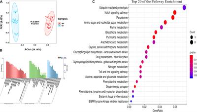 Integrated Application of Transcriptomics and Metabolomics Reveals the Energy Allocation-Mediated Mechanisms of Growth-Defense Trade-Offs in Crassostrea gigas and Crassostrea angulata